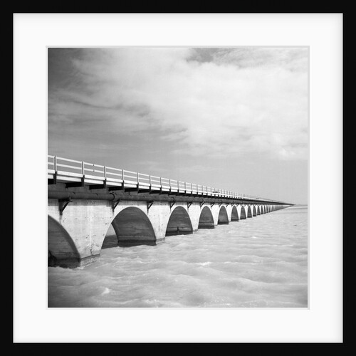 View of the Seven Mile Bridge from the Camping Areas by Anonymous