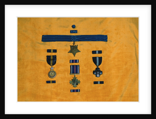 Navy Medals of Honor by Anonymous