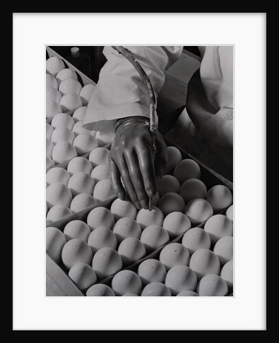 Close Up of Eggs Being Drilled for Flu Research by Anonymous