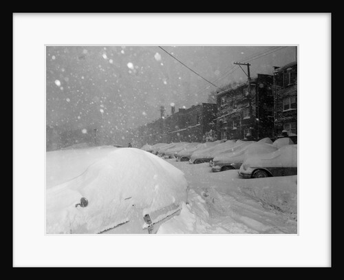 Snow Covered Cars and Snow Falling by Anonymous