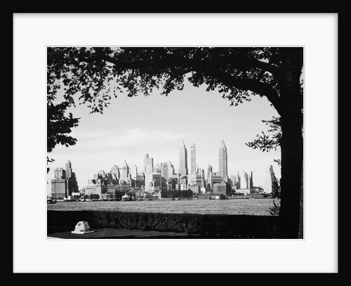 New York City Skyline from Governor's Island by Anonymous