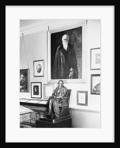Statue and Painting of Charles Darwin by Anonymous