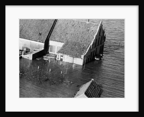 Animal Standing by House Submerged in Flood Waters by Anonymous