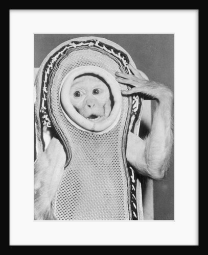 Miss Sam Wearing Space Gear by Anonymous