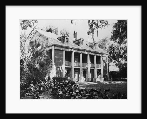 The Shadows an Old Plantation Home by Anonymous