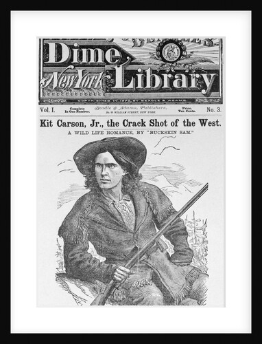 Cover of Beadle's Dime New York Library by Anonymous
