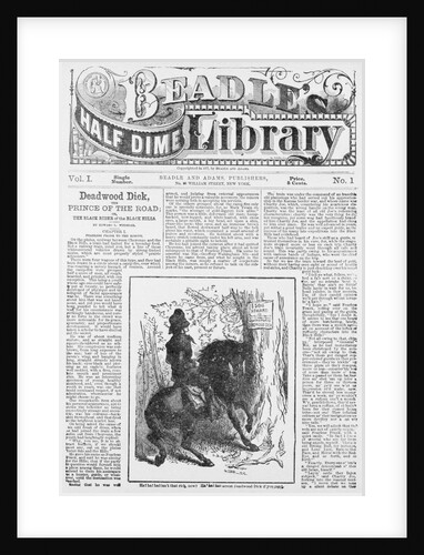 Cover of Beadle's Half Dime Library by Anonymous