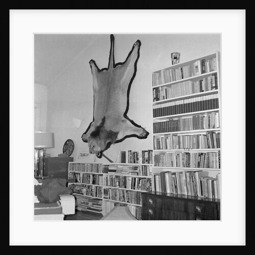 Lion Hanging on Ernest Hemingway's Wall by Anonymous