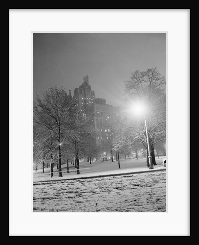 Park Scene Near Buildings by Anonymous