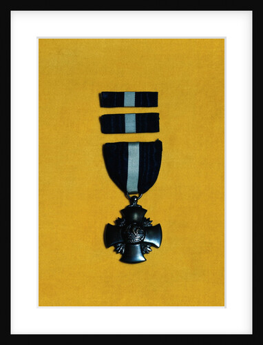 Navy Medal Display by Anonymous