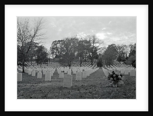 View of Arlington Cemetery by Anonymous