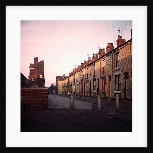 Admiral Grove by Anonymous