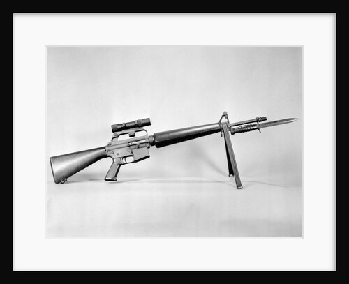 AR-15 Rifle by Anonymous