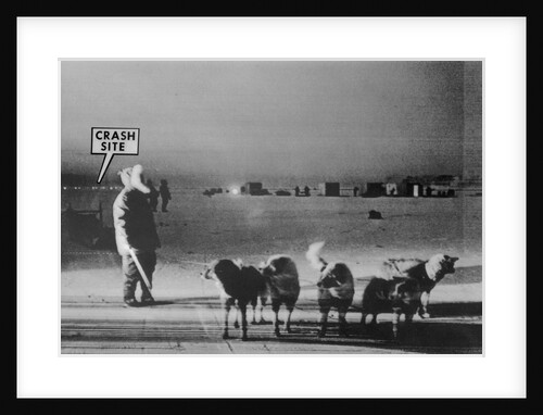 Man Standing with Eskimo Dogs by Anonymous