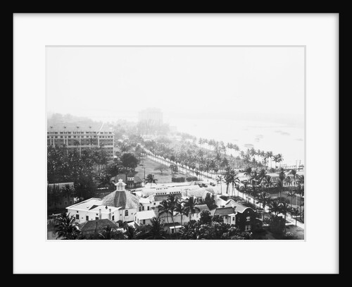 View of Palm Beach Near Ocean by Anonymous