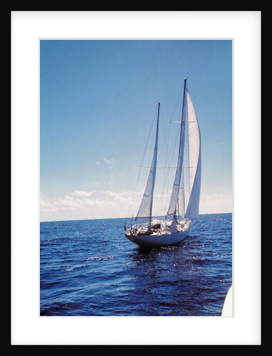 The Gypsy Moth IV by Anonymous