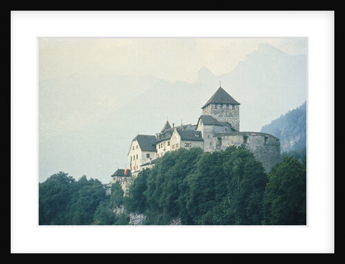 Liechtenstein Castle by Anonymous