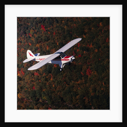 Super Cub Piper Plane by Anonymous