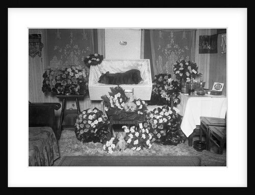 Funeral for Pet Bulldog by Anonymous
