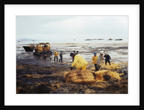 Workmen Dragging Hay Along the Beaches by Anonymous