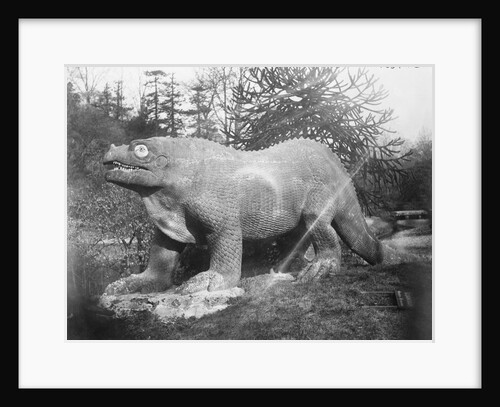 Portrait of an Iguanadon by Anonymous