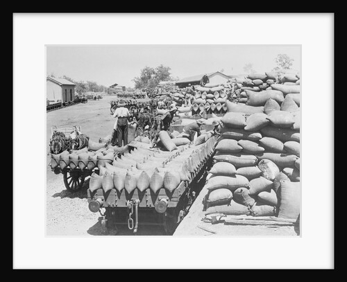 Loading Wheat by Anonymous