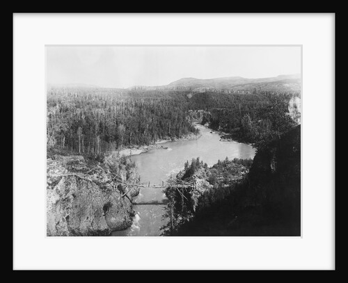 Bridge in British Columbia by Anonymous