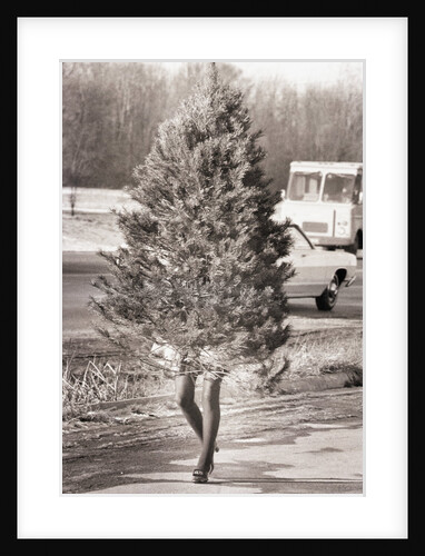 Woman Hidden Behind Her Christmas Tree by Anonymous