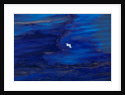 Oil Slick from Tanker Collision by Anonymous