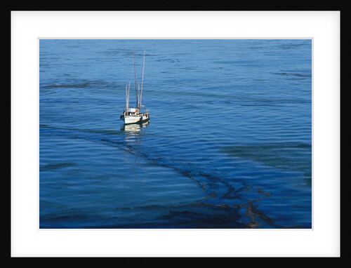 Fishing Boat Anchored in Oil Slick by Anonymous