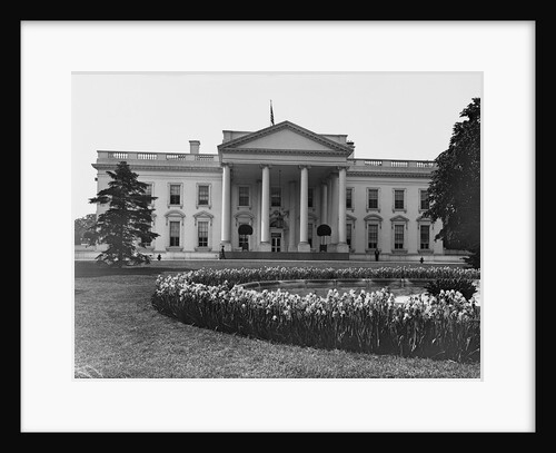 White House And Iris Garden by Anonymous