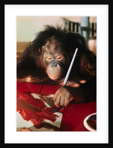 Orangutan Painting by Anonymous