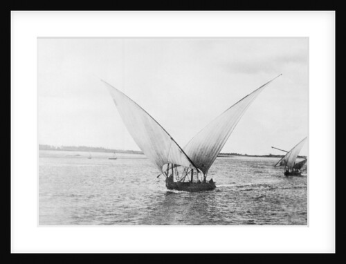 Sailboat on the Nile by Anonymous
