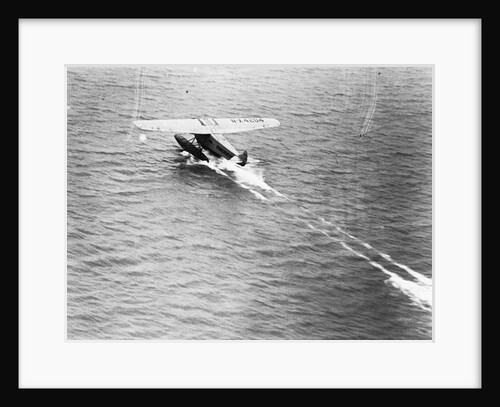 Friendship Taking Off by Anonymous