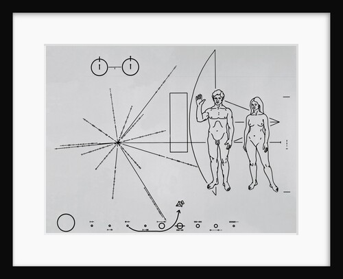 Pictorial Plaque Carried into Space by Anonymous