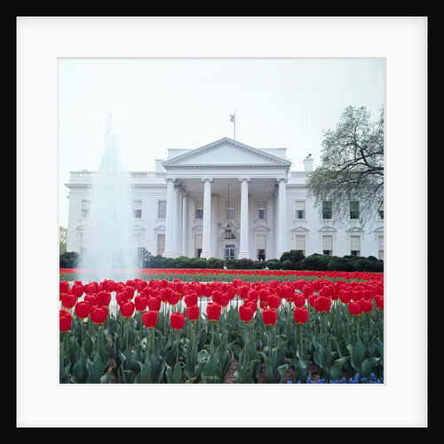 The White House by Anonymous