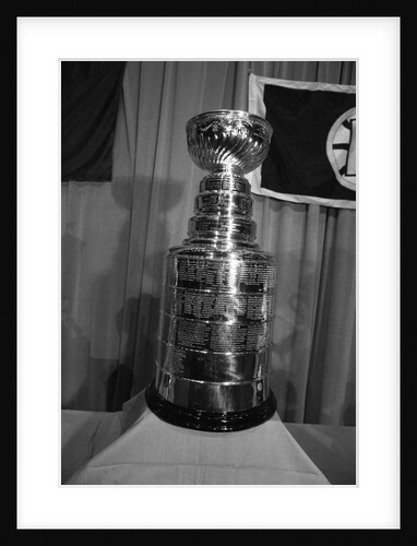 Stanley Cup Trophy by Anonymous