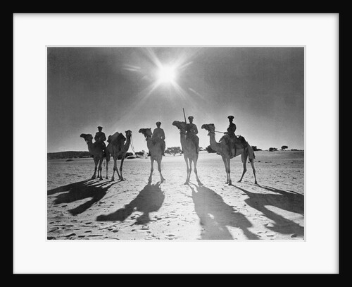 Botswana's Police Camel Corps by Anonymous