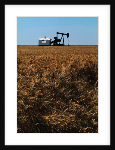 Crops Ready for Harvest by Anonymous