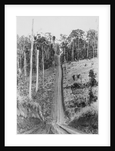 Trans-Amazon Highway by Anonymous