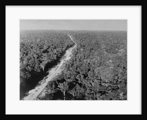 Trans Amazon Highway by Anonymous