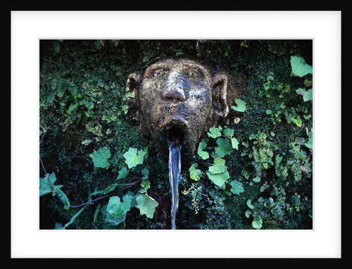 Fountain at Villa Este by Anonymous