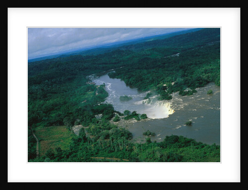 River and Forest by Anonymous