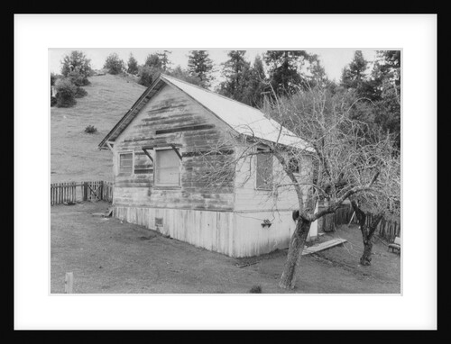 Kidnapper's Cabin by Anonymous