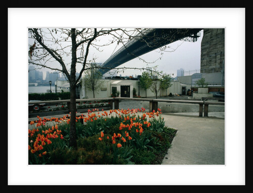 Brooklyn's River Cafe by Anonymous