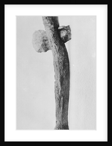 Prehistoric Axe on Display by Anonymous