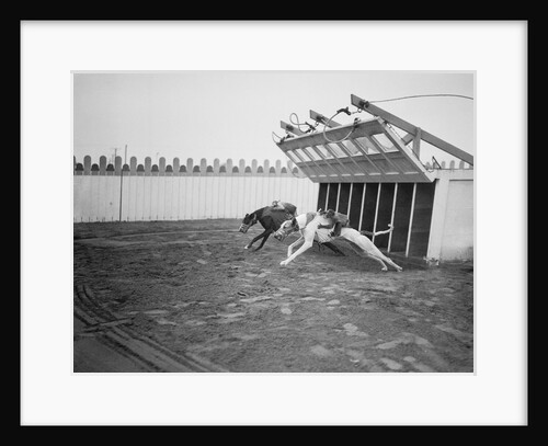 Dogs Racing with Monkeys on Their Backs by Anonymous