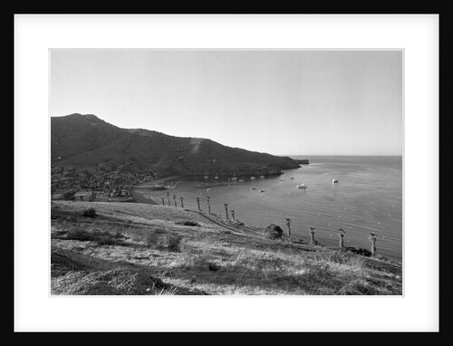 The Isthmus Cove by Anonymous