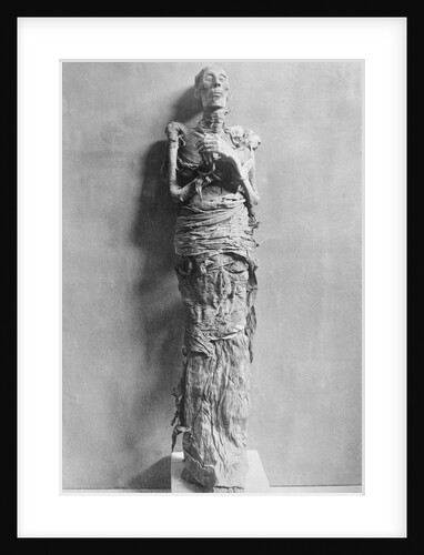 Mummy of Rameses II by Anonymous