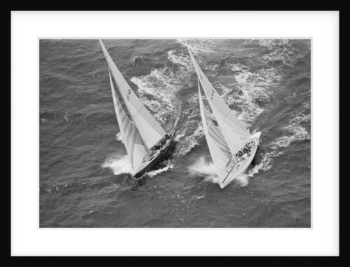 America's Cup Competitors by Anonymous